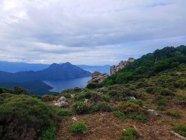 Vue sur Scandola