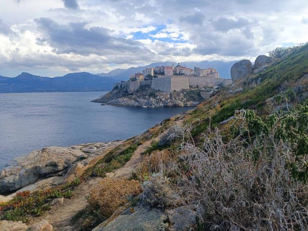 Baie de Calvi
